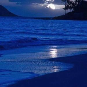 Meet your Posher, Pamela